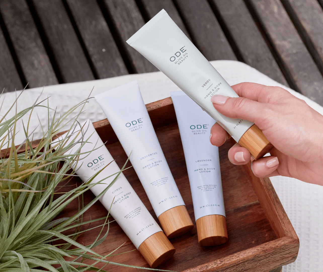 Extra Virgin Olive Oil Hand and Body Lotion